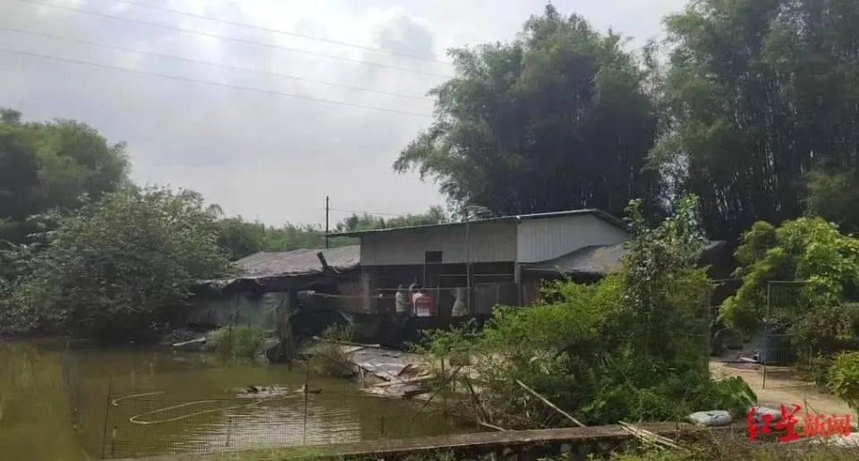 皇冠信用网如何申请
_男子杀害母亲和女友后带嫂嫂潜逃32年落网皇冠信用网如何申请
,两人育有一儿一女,侦破细节披露