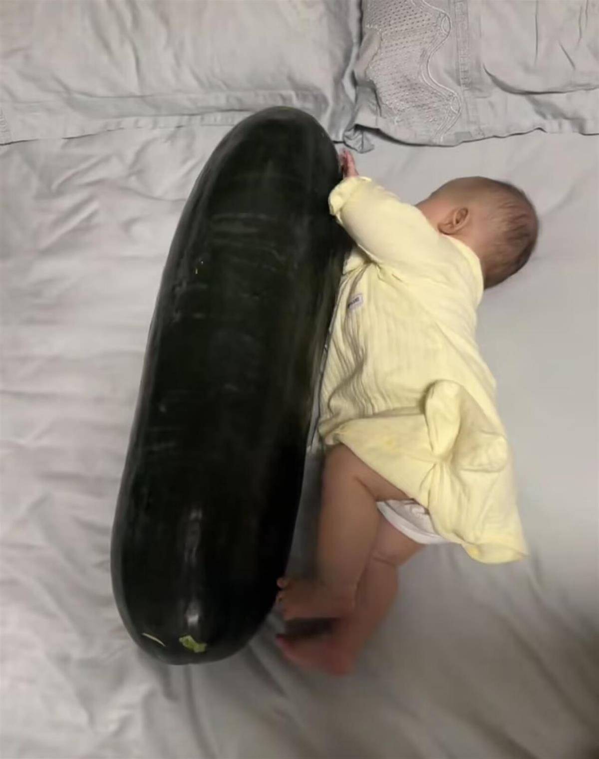 邓巴顿VS加迪_男子在深圳购买28斤重的冬瓜带回香港邓巴顿VS加迪,给3个月大的女儿当避暑玩具