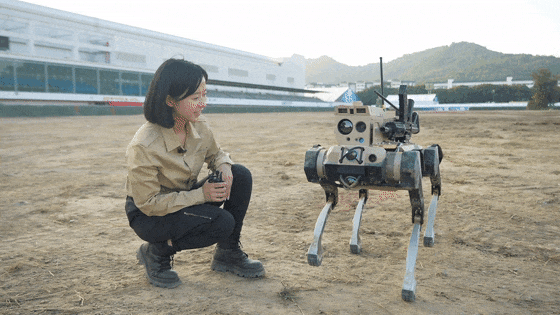 皇冠信用網会员_九三阅兵“机器狼群”皇冠信用網会员,首次亮相一个字:帅!与“机器狗”有这些区别→