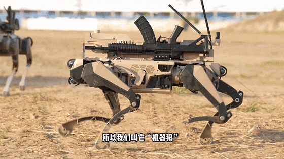 皇冠信用網会员_九三阅兵“机器狼群”皇冠信用網会员,首次亮相一个字:帅!与“机器狗”有这些区别→