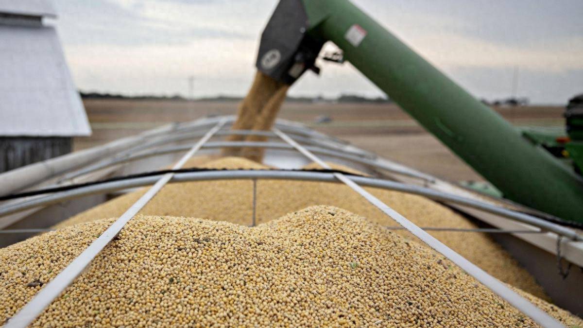 世界杯信用盘代理出租
_比美国大豆价格还高世界杯信用盘代理出租
，巴西大豆涨价滞港，坐地涨价找错了对象，中国买家集体停购