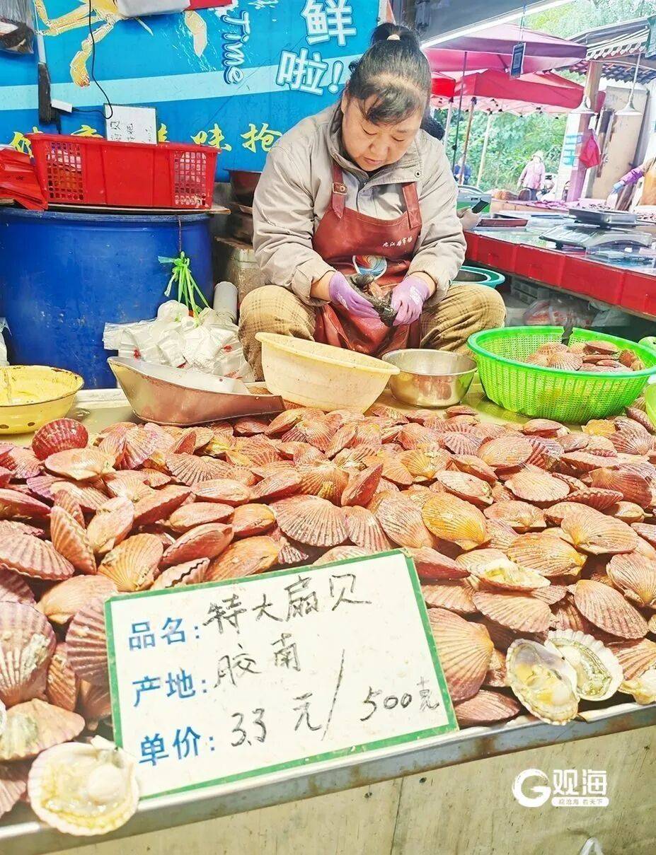 皇冠信用盘登1
_10元四斤！青岛人爱吃的它皇冠信用盘登1
，大量上市了，网友：今晚就安排上桌……