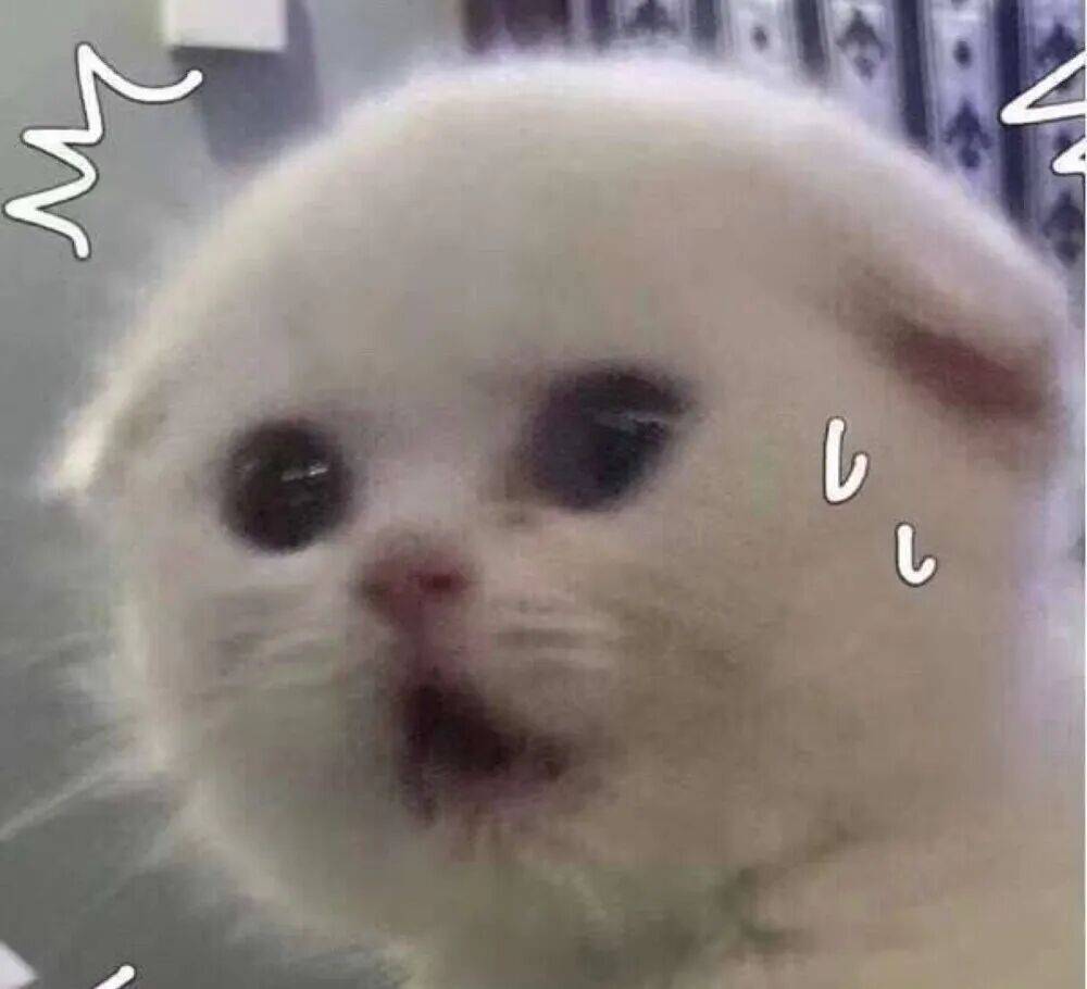 足球平台代理怎么做
_上海一对婆媳因阻碍加梯足球平台代理怎么做
，与五位邻居“大打出手”！