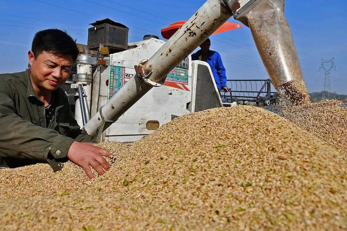 登1登2登3信用盘
_200万吨大豆烂港！巴西主动降价登1登2登3信用盘
，中国转头下单三船美国大豆，巴西自食其果了