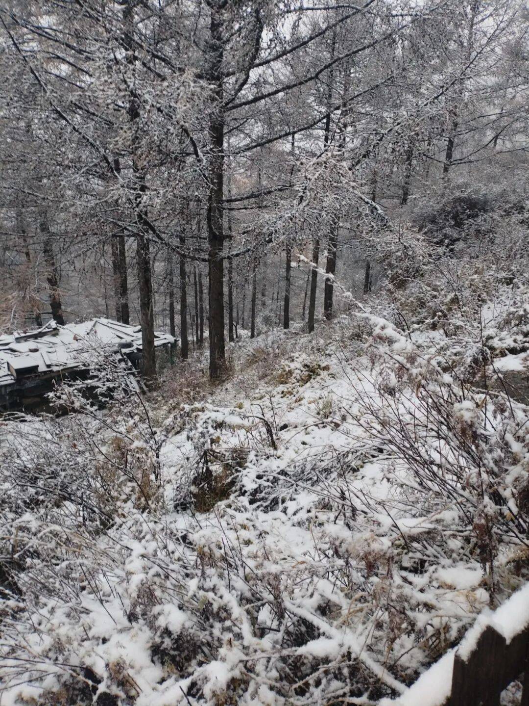 正版皇冠信用网开户
_石家庄下雪了！河北将迎中到大雪正版皇冠信用网开户
，未来三天……