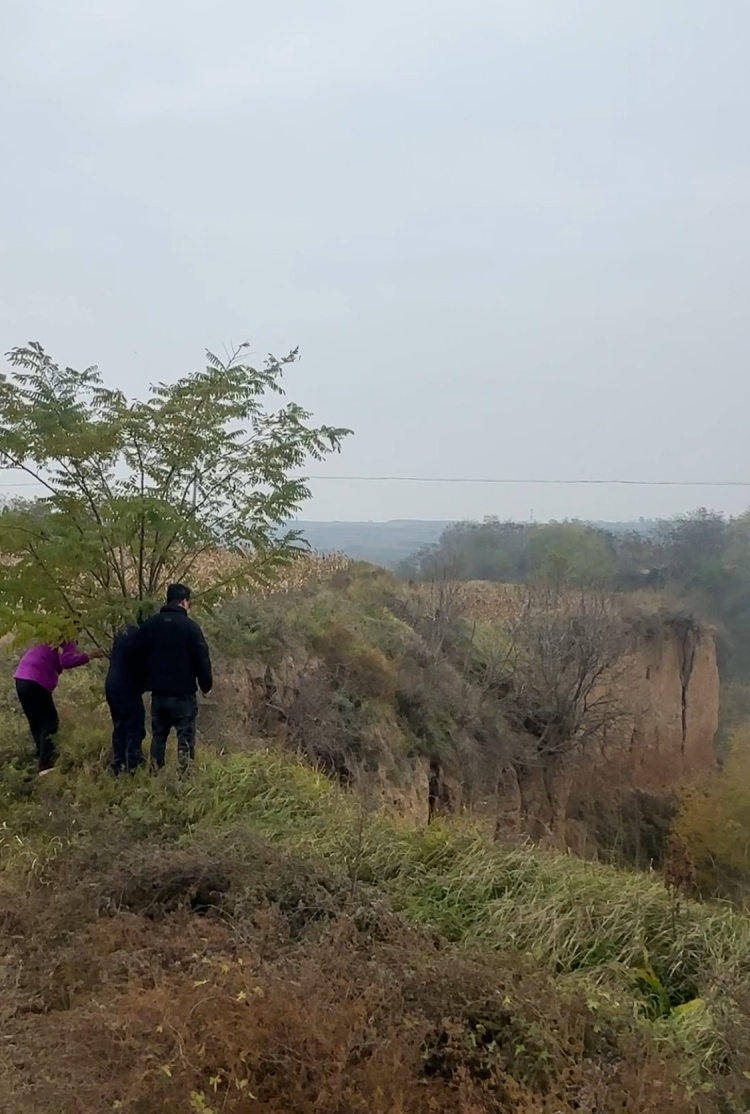 皇冠信用盘在线申请
_陕西咸阳一男子打晕妻子误以为已死皇冠信用盘在线申请
，将人扔下土崖致其死亡被公诉