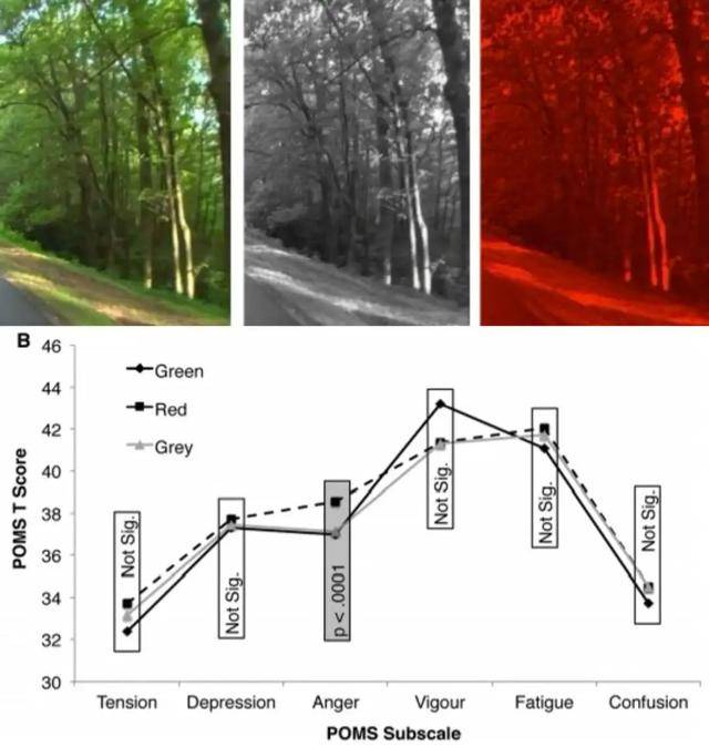 皇冠信用盘在哪里开通
_年代剧的墙皇冠信用盘在哪里开通
，为什么都是上白下绿？