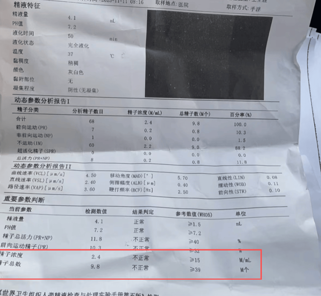 介绍个正网信用网址
_丈夫结扎9个月后介绍个正网信用网址
，妻子又怀孕了！医院：责任不全在我