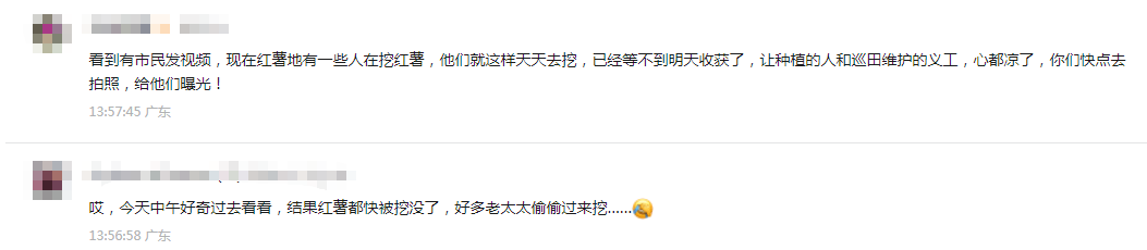 皇冠信用盘会员账号
_深圳市中心竟有一大片“红薯地”皇冠信用盘会员账号
！官方紧急提醒：请勿私挖