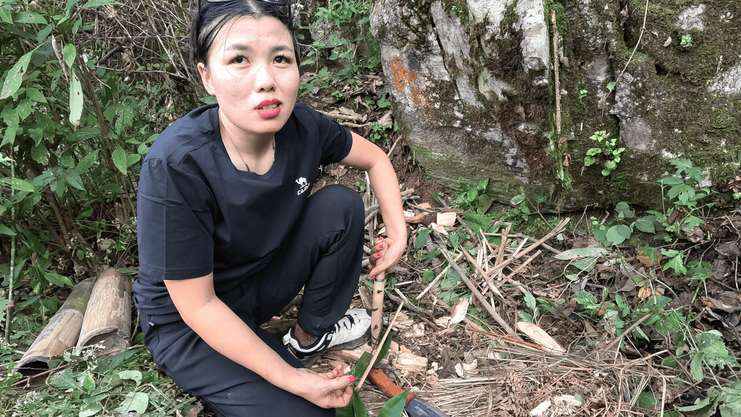 皇冠信用盘会员开户申请
_七星山“荒野求生”爆火皇冠信用盘会员开户申请
！安全怎么保障？景区最新回应→