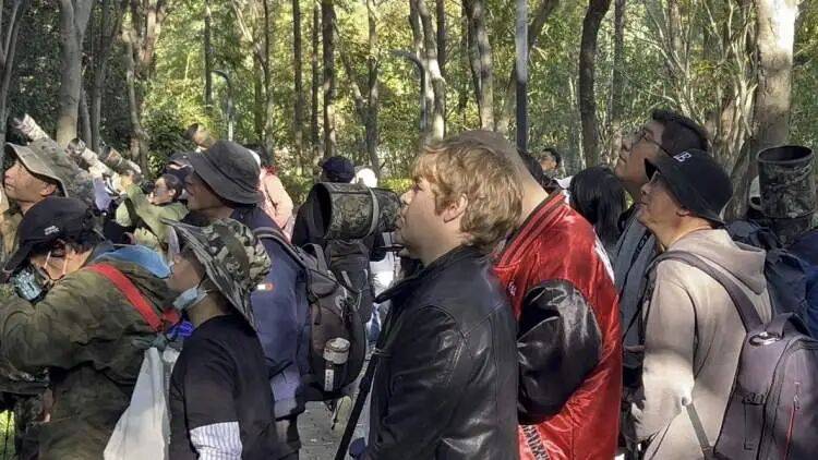 如何代理皇冠信用盘
_百年罕见！首次在上海被目击如何代理皇冠信用盘
，有人专门从北京“打飞的”赶来