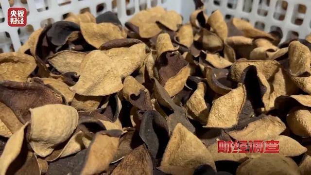 皇冠信用APP下载_30天速成陈皮皇冠信用APP下载，成本仅70元，利润超成本10倍以上！央视起底陈皮跨省造假产业链