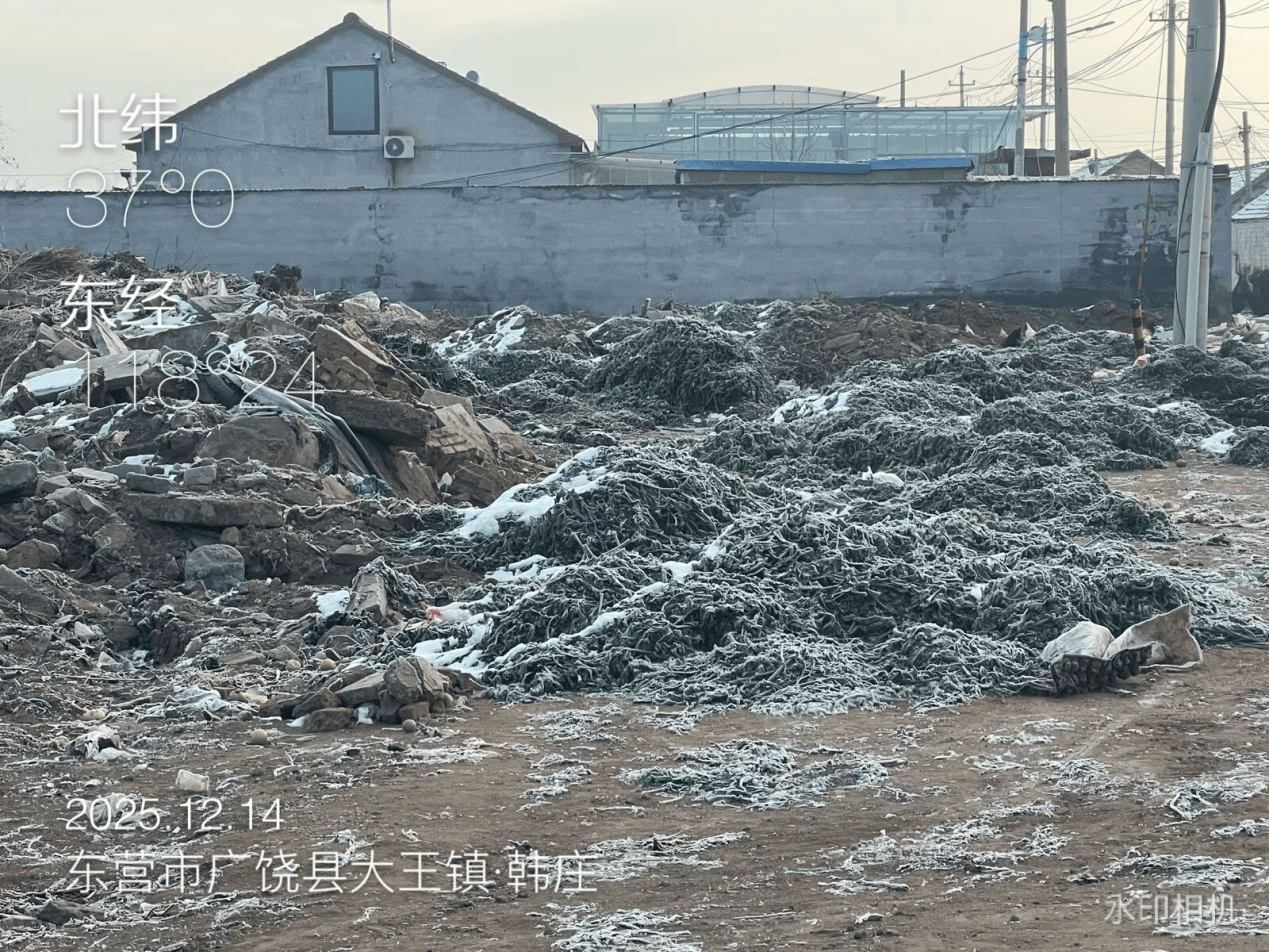 意大利乙组联赛
_广饶县:农村人居环境亟待提升