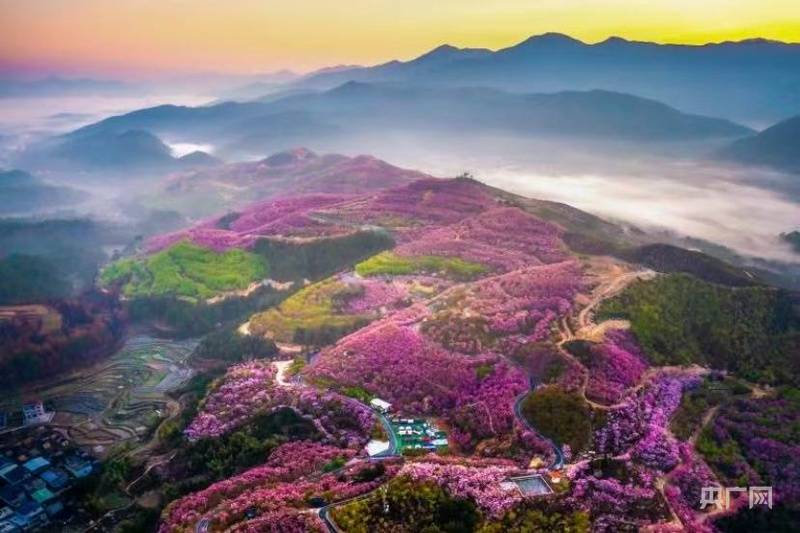 保加利亚 v 西班牙
_200余场活动+多重福利 三明邀您“过年马上有福”