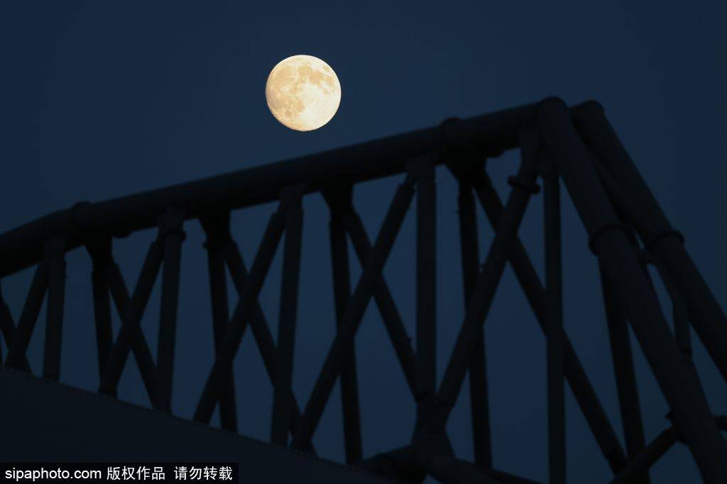 纽约城vs华盛顿特区联
_斯洛特换人引众怒纽约城vs华盛顿特区联
,利物浦球迷大失所望:0-0平局背后的战术失误与球迷心声