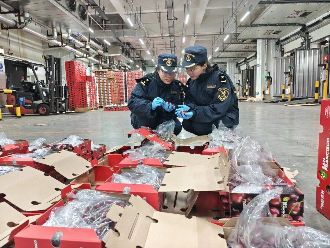 江原vs全北现代
_价格腰斩!广州正大量上市江原vs全北现代
,商家:还能降