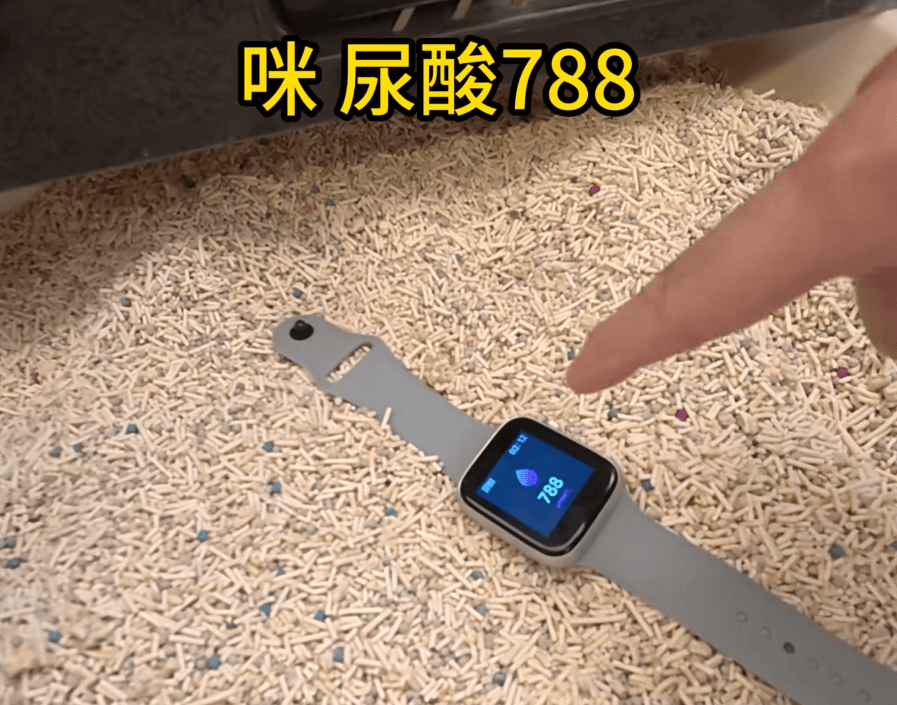 阿森纳vs利兹联
_父母花84元网购“神奇手表”阿森纳vs利兹联
,儿子发现能测万物:猫咪血糖5.9,吸尘器血糖7.4,父母:下次不买了