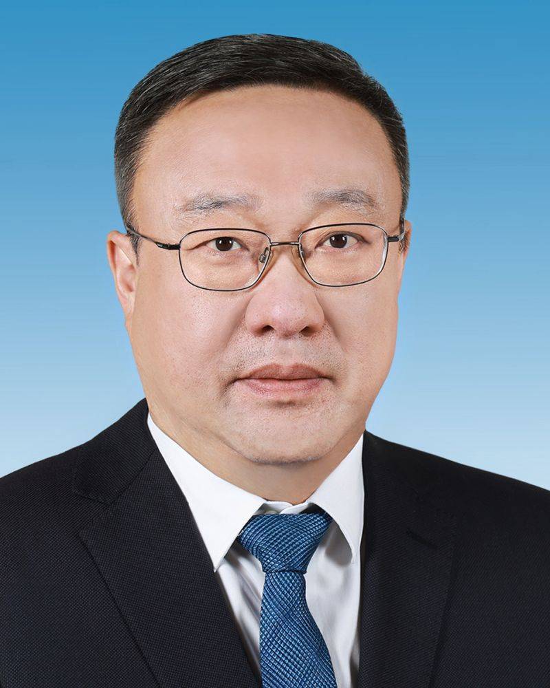 巴西乙组联赛
_新一届新疆维吾尔自治区党委常委简历