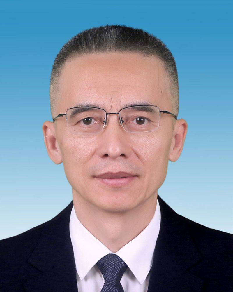 巴西乙组联赛
_新一届新疆维吾尔自治区党委常委简历